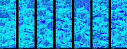 maps