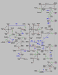maps