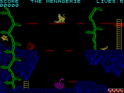 screens