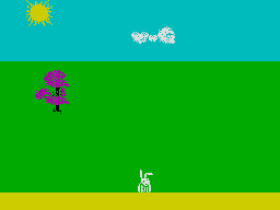 screens
