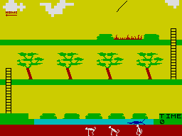 screens