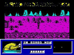 screens