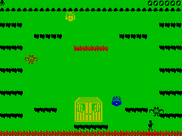 screens