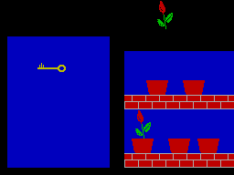 screens