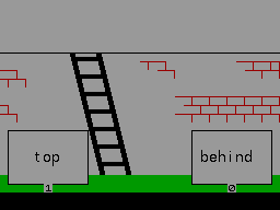 screens